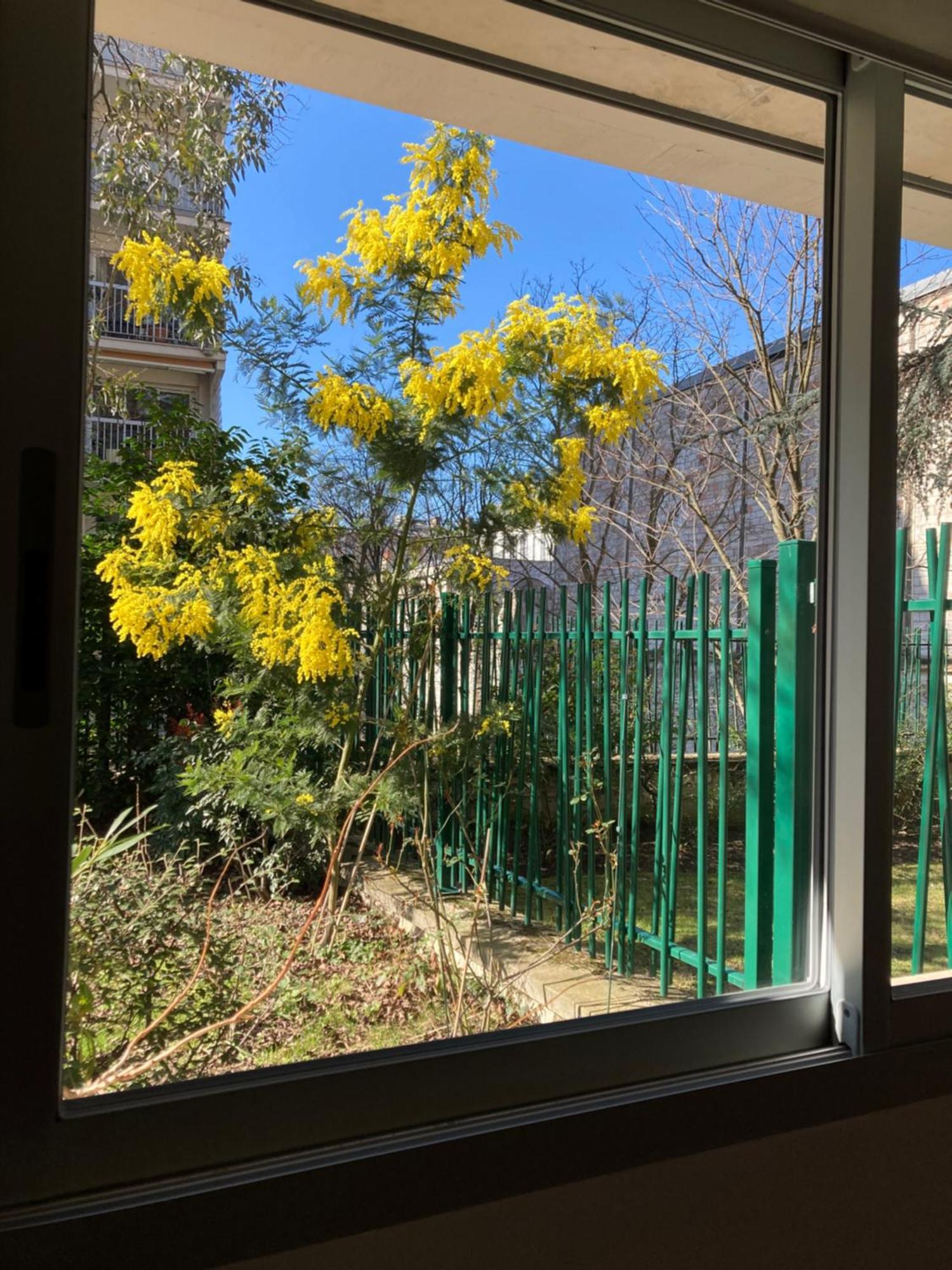 Apartmán Vue Sur Jardin, 3 Pieces Paříž Exteriér fotografie